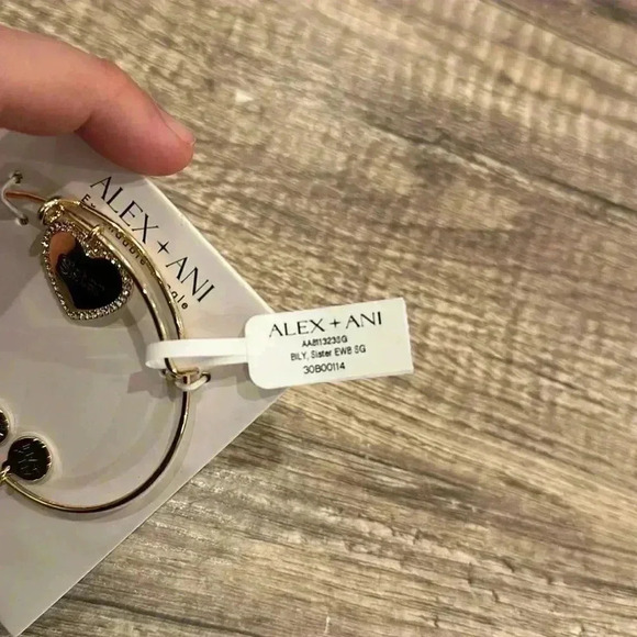 NWT Alex & Ani Expandable Bangle Charm Bracelet SISTER Studded Shiny Gold - Picture 4 of 6